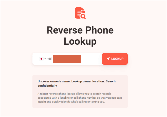 detailed reverse lookup result