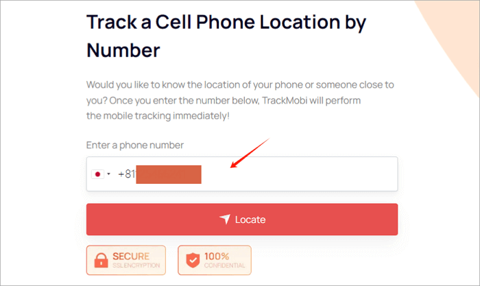 enter phone number for lookup